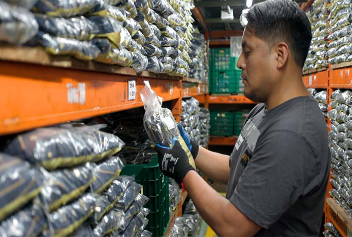 Corporación Rey redujo en 60% sus costos de energía 