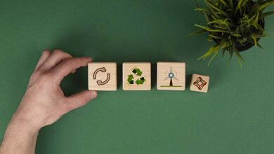 UPN presenta su estrategia de sostenibilidad con la que alcanzó la carbono neutralidad