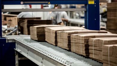 TRUPAL cierra 2025 con un 10% de crecimiento en ventas y récords históricos de producción, consolidando su rol clave en la agroexportación