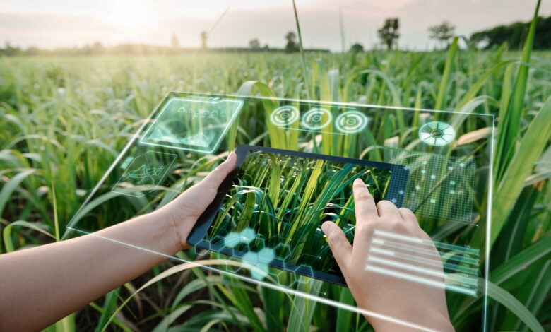 SAP y Syngenta anuncian alianza para escalar la agricultura asistida por IA