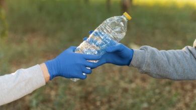 Día Mundial de la Educación Ambiental: Investigaciones científicas transforman residuos en agua limpia y combustible