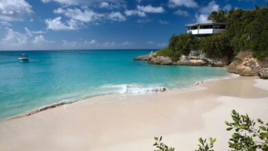 El dominio .ai supera el millón de registros y se consolida como motor de desarrollo para la isla de Anguilla
