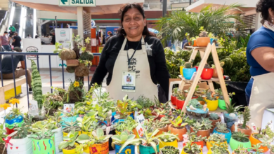 Más de 6 millones de mujeres emprendedoras mueven la economía peruana, pero más de la mitad opera fuera del sistema financiero