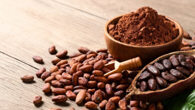 fortalecerán capacidades de jóvenes de ucayali en comercio exterior