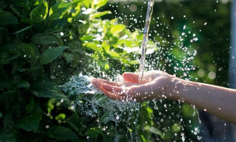 Hasta 5.500 litros ahorrados por hora: las claves de la industria de alimentos y bebidas para reducir su consumo de agua