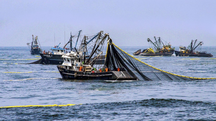 PRODUCE autoriza inicio de la primera temporada de Pesca de anchoveta con una cuota de 1.91 millones de toneladas