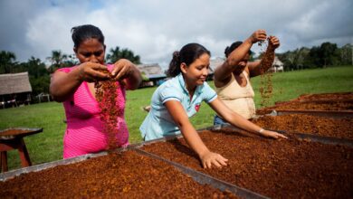 Desde el 15 de abril, siete regiones inician postulaciones para concursos de innovación con fondos de S/14.7 millones