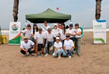 Voluntariado corporativo en acción: Pamolsa impulsa limpieza de playas en Lurín