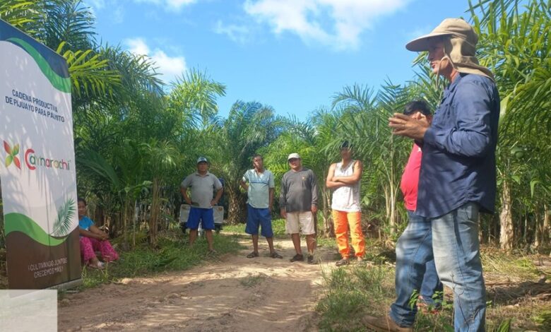 San Martín: Desarrollo de cadenas productivas impulsada por la empresa Caynarachi S.A. incorpora a más de 1000 pobladores y beneficia a más de 50 comunidades