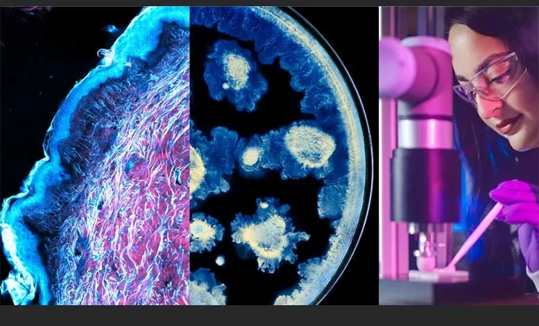 L’oréal y el Instituto Pasteur anuncian alianza científica