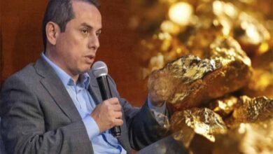 IPE advierte estancamiento de proyectos auríferos y avance de la minería ilegal en zonas protegidas