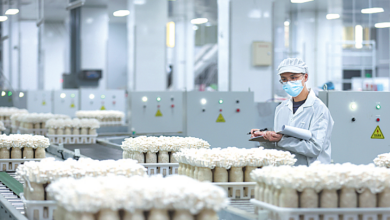 Revolución agrícola 4.0: Hacia una agricultura inteligente