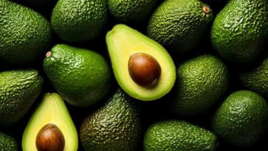 Empresas cierran negocios por más de US$ 1 millón en misión comercial en Costa Rica