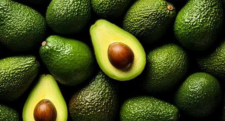 Empresas cierran negocios por más de US$ 1 millón en misión comercial en Costa Rica