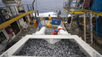 Día Nacional de la MYPE: más de 3,500 pequeñas empresas sostienen servicios clave para la pesca peruana