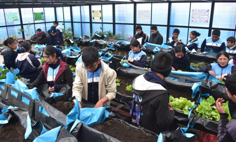 Sodexo refuerza su liderazgo en gestión ambiental junto a sus socios estratégicos en minería