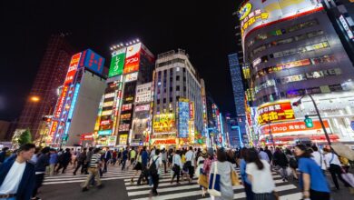envíos peruanos a japón se incrementaron 14.4%