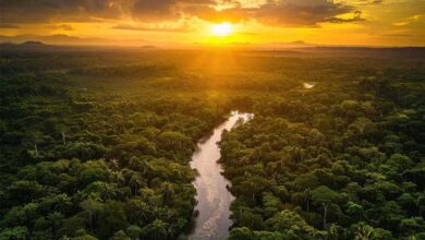 Los resultados de Natura se ven afectados en Brasil y Argentina, pero registran un buen rendimiento en el resto de mercados de Latinoamérica en el primer trimestre de 2026