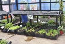 Sodexo refuerza su liderazgo en gestión ambiental junto a sus socios estratégicos en minería