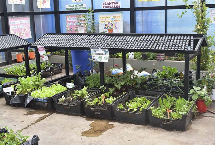 Sodexo refuerza su liderazgo en gestión ambiental junto a sus socios estratégicos en minería