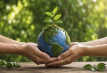 Día Mundial del Reciclaje: cuatro claves para impulsar una construcción más sostenible en la industria