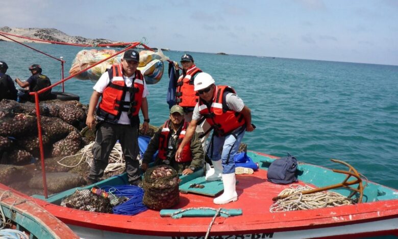 Con exportaciones en alza en 2026, la pesca artesanal peruana mira a la IA y los datos para sostener su crecimiento