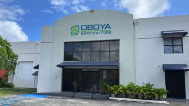 Oboya fortalece su operación en América Latina con nueva base directa en Miami