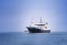 Austral Group consolida avances en sostenibilidad con foco en descarbonización y economía circular