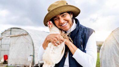 sector avícola aporta el 24,3% de la producción agropecuaria y refuerza su compromiso con la inocuidad alimentaria