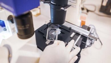 Tecnología peruana que detecta el nivel de avance del cáncer destaca en Festival Cannes Lions 2026