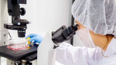 Avon desarrolla la primera piel bioimpresa en laboratorio que reproduce los efectos de la menopausia