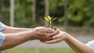 Reducción del 90% en la generación de residuos: Kimberly-Clark y su testimonio de sostenibilidad en Latinoamérica