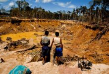Minería ilegal y narcotráfico ya operan como una sola red criminal en la Amazonía, advierte informe