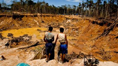 Minería ilegal y narcotráfico ya operan como una sola red criminal en la Amazonía, advierte informe