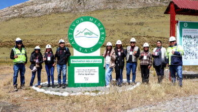 Colegio de Ingenieros junto a especialistas ambientales realizaron pasantía en el proyecto Delta Upamayo