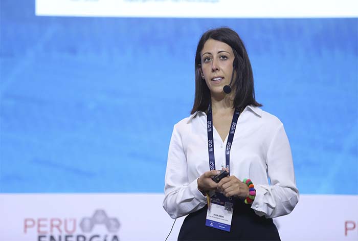 AFRY Management : Mercados energéticos globales elevan riesgos para el sistema eléctrico peruano