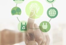 Cinco iniciativas que las empresas pueden aplicar para reducir su impacto ambiental