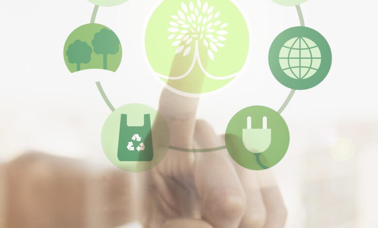 Cinco iniciativas que las empresas pueden aplicar para reducir su impacto ambiental