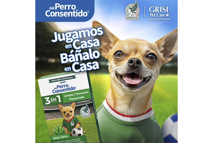 Mascotas pamboleras: Cómo preparar a tu perro para disfrutar la fiesta del futbol en el hogar