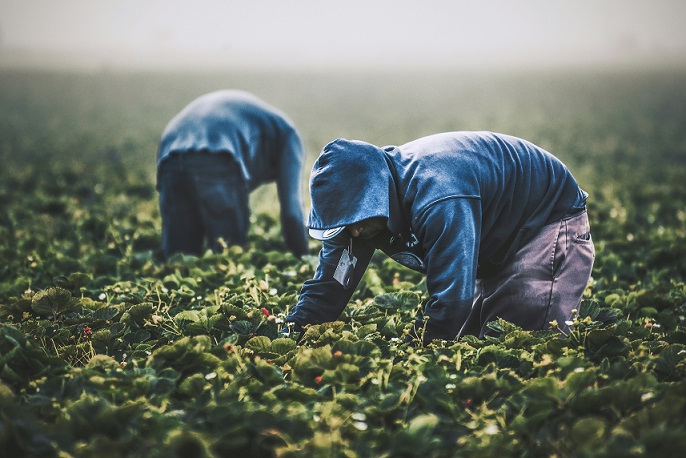 Fenómeno El Niño: ¿a qué commodities afectará en los próximos meses en Perú?