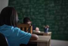 Día del Maestro: más de 570 mil docentes educan a los niños y jóvenes de inicial, primaria y secundaria en todo el Perú