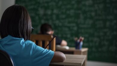 Día del Maestro: más de 570 mil docentes educan a los niños y jóvenes de inicial, primaria y secundaria en todo el Perú
