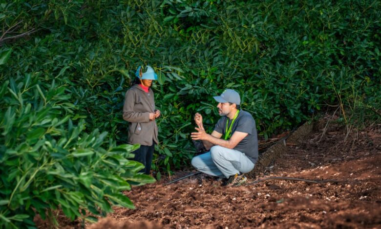 Con drones, satélites e inteligencia artificial: las innovaciones peruanas que están transformando la agricultura con el impulso de PRODUCE