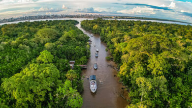 Un día en Belém: del turismo de chocolate a un museo flotante en el Amazonas
