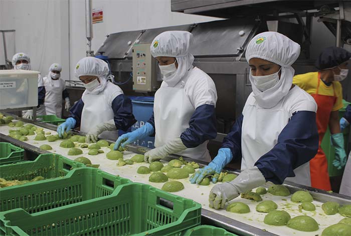 Exportaciones crecieron 36.7% impulsados por precios de minerales