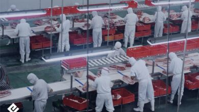 El costo oculto de la mesa peruana: eficiencia en la cadena de frío reduce el desperdicio de alimentos y fortalece la cadena de suministro