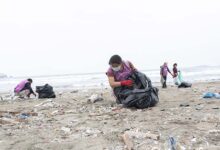 Cuando las alianzas generan impacto: Proa reúne a empresas y ciudadanía en favor del ambiente