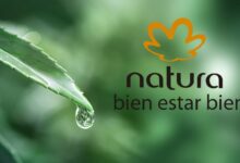 Natura presenta su Informe Integrado 2025 con resultados que adelantan metas de su Compromiso 2030