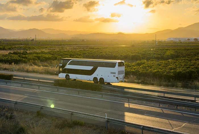 Fiestas Patrias 2026: peruanos podrán recorrer el Perú en bus con hasta 50% de descuento