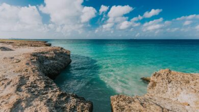 Aruba es reconocida como Reserva de la Biosfera por la UNESCO